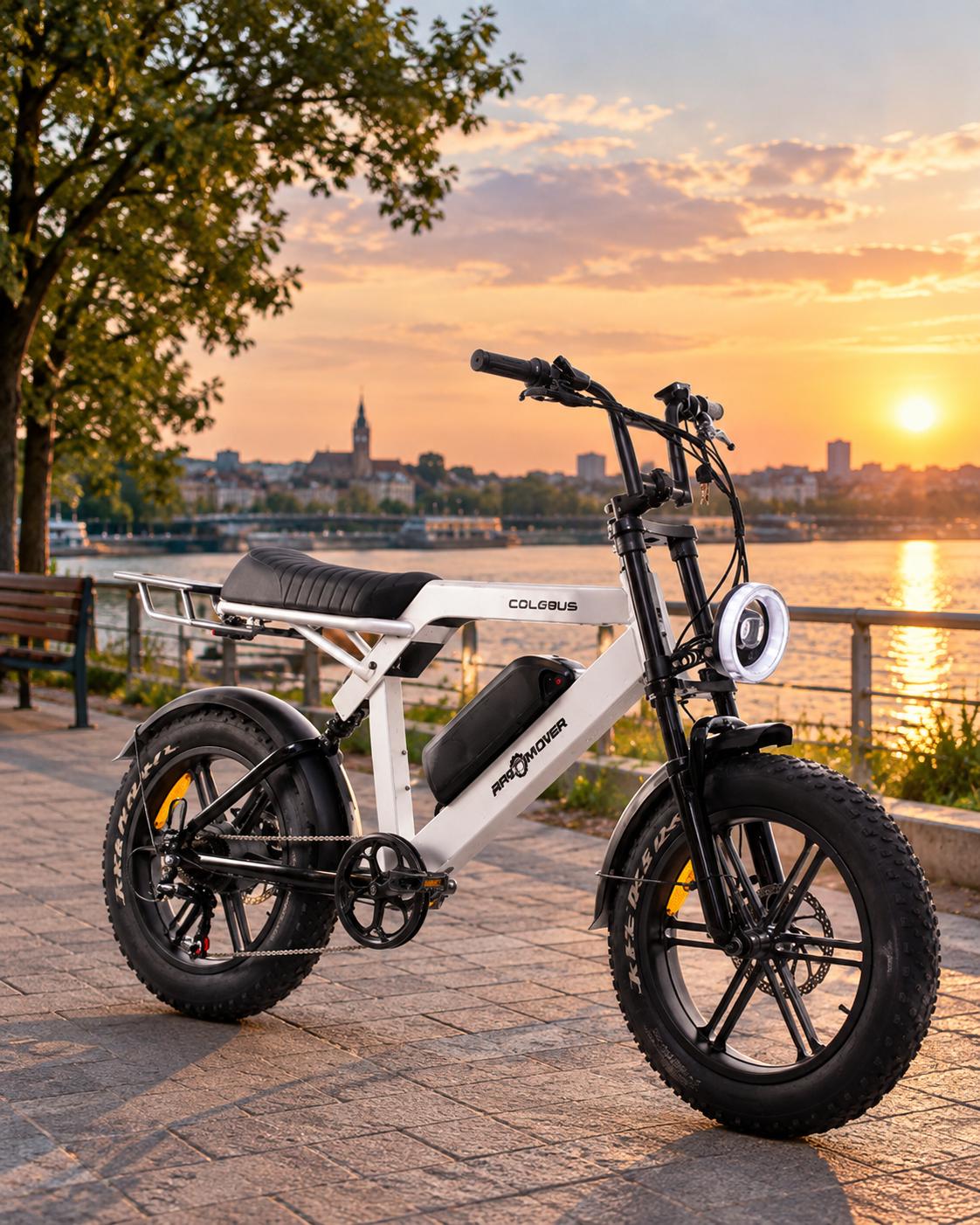 Ape Ryder Colobus A10 FAT električni bicikl